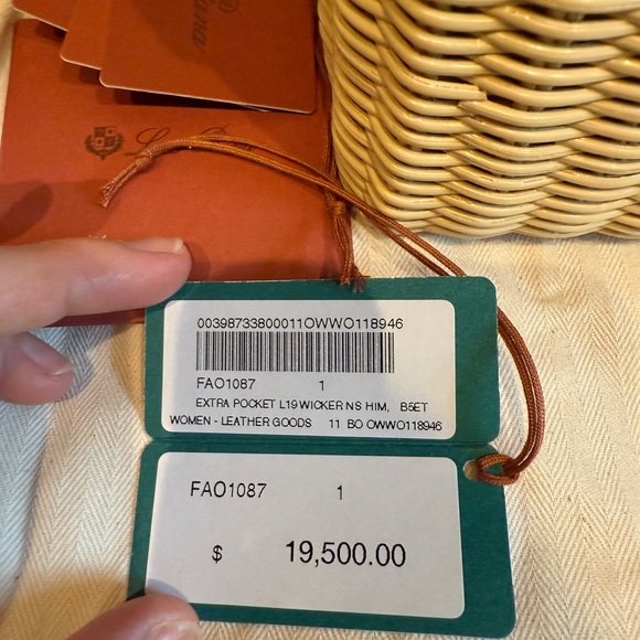 Loro Piana House Exclusive Extra Pocket L19 Wicker Himalaya Crocodile Bag - Picture 8 of 17